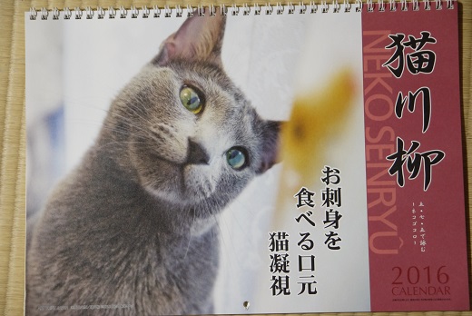 P1240824川柳.jpg