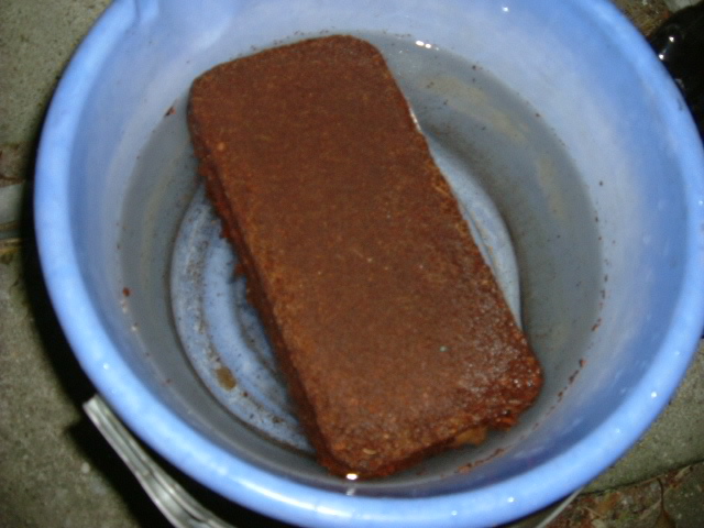 DSCF7574.JPG