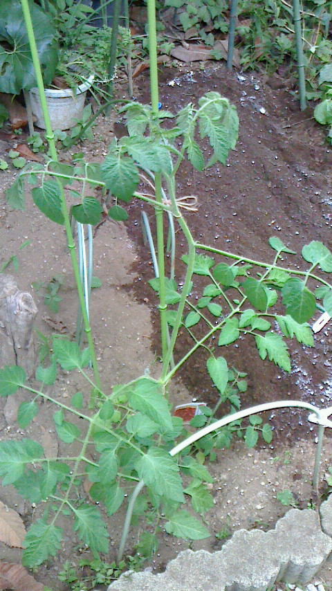 NEC_0209.JPG