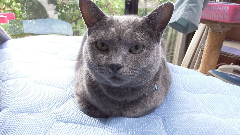 DSCF9084.JPG