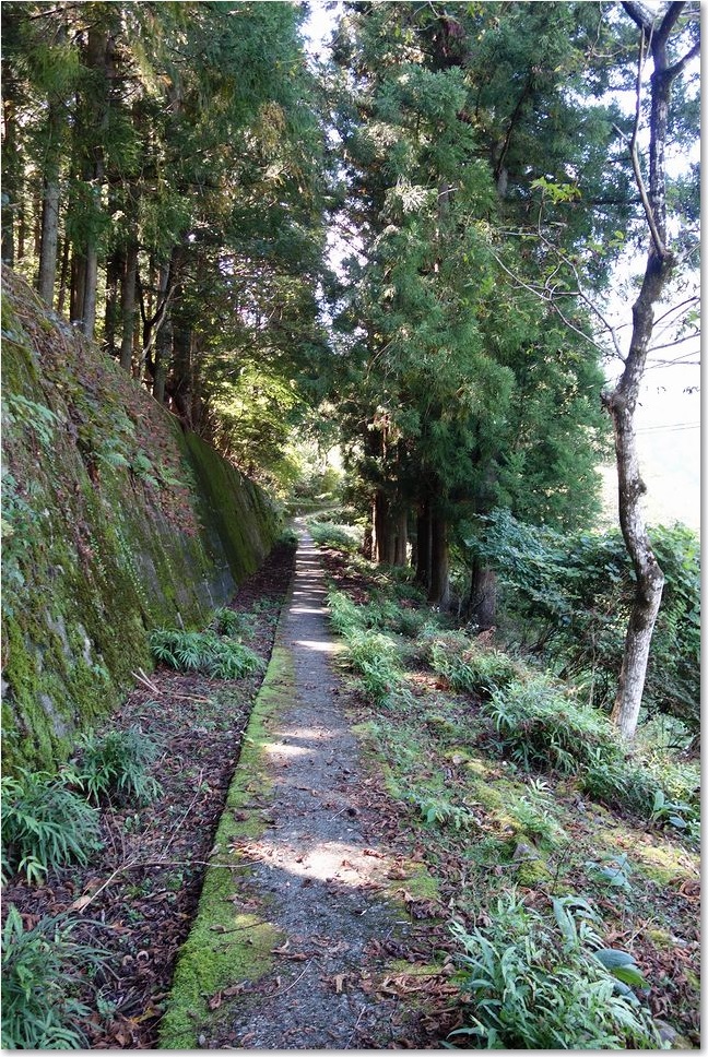 38こんな道です