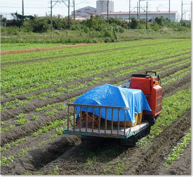 18何でしょう？