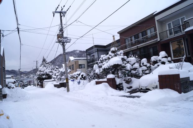 _DSC9799.JPG