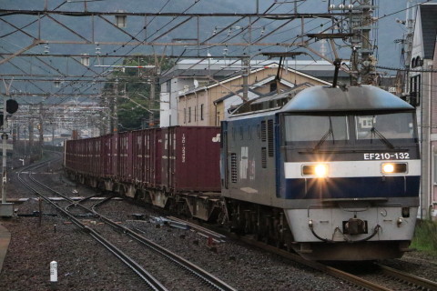 H41A0230.JPG