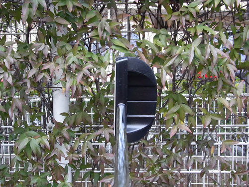 White Ice iX #5CS T.jpg