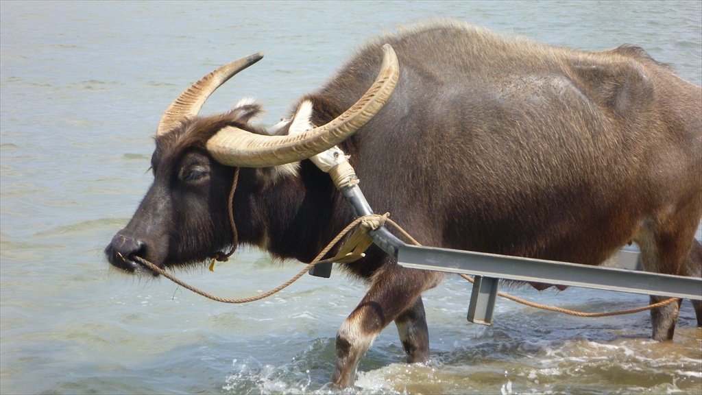 20150223 12515301.JPG