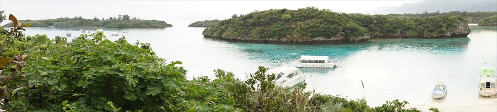 20150224 08535501.JPG