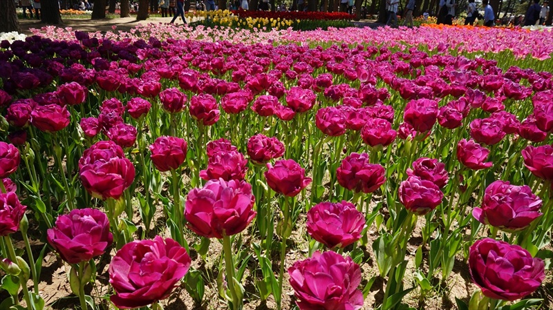 20150430 10512801.JPG