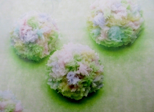 IMG_1161 (600x450) (500x366) (2).jpg