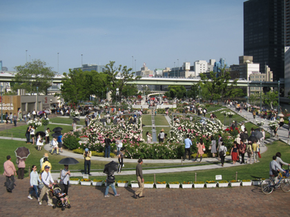 IMG_6026-1.JPG