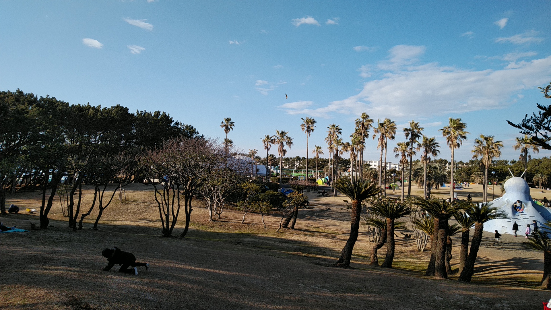 20190203  DSC_0004.jpg.jpg