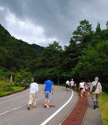 DSC_0806.jpg