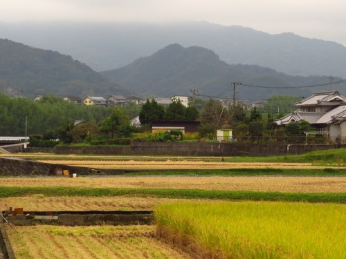 秋の風景1487.jpg