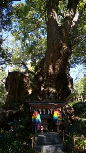 20151127 11030001.jpg