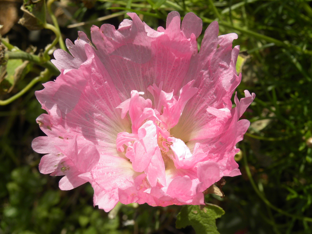 DSCN9459.JPG
