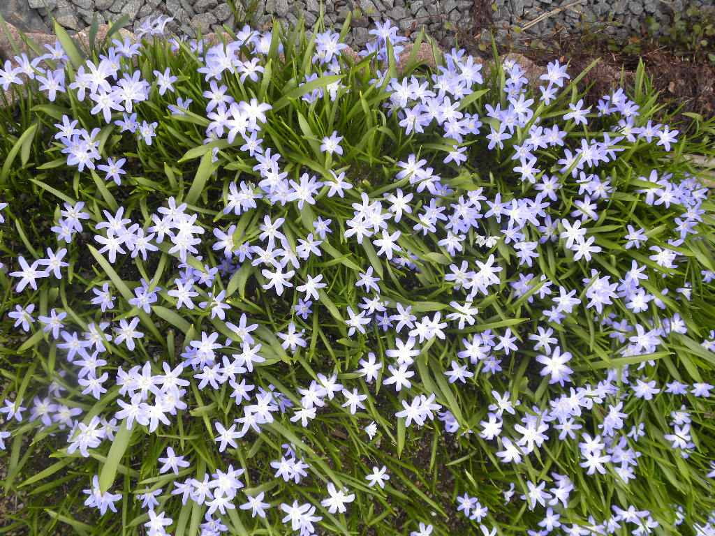 DSCN1045.JPG