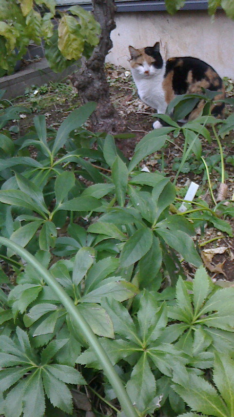 NEC_0572.JPG