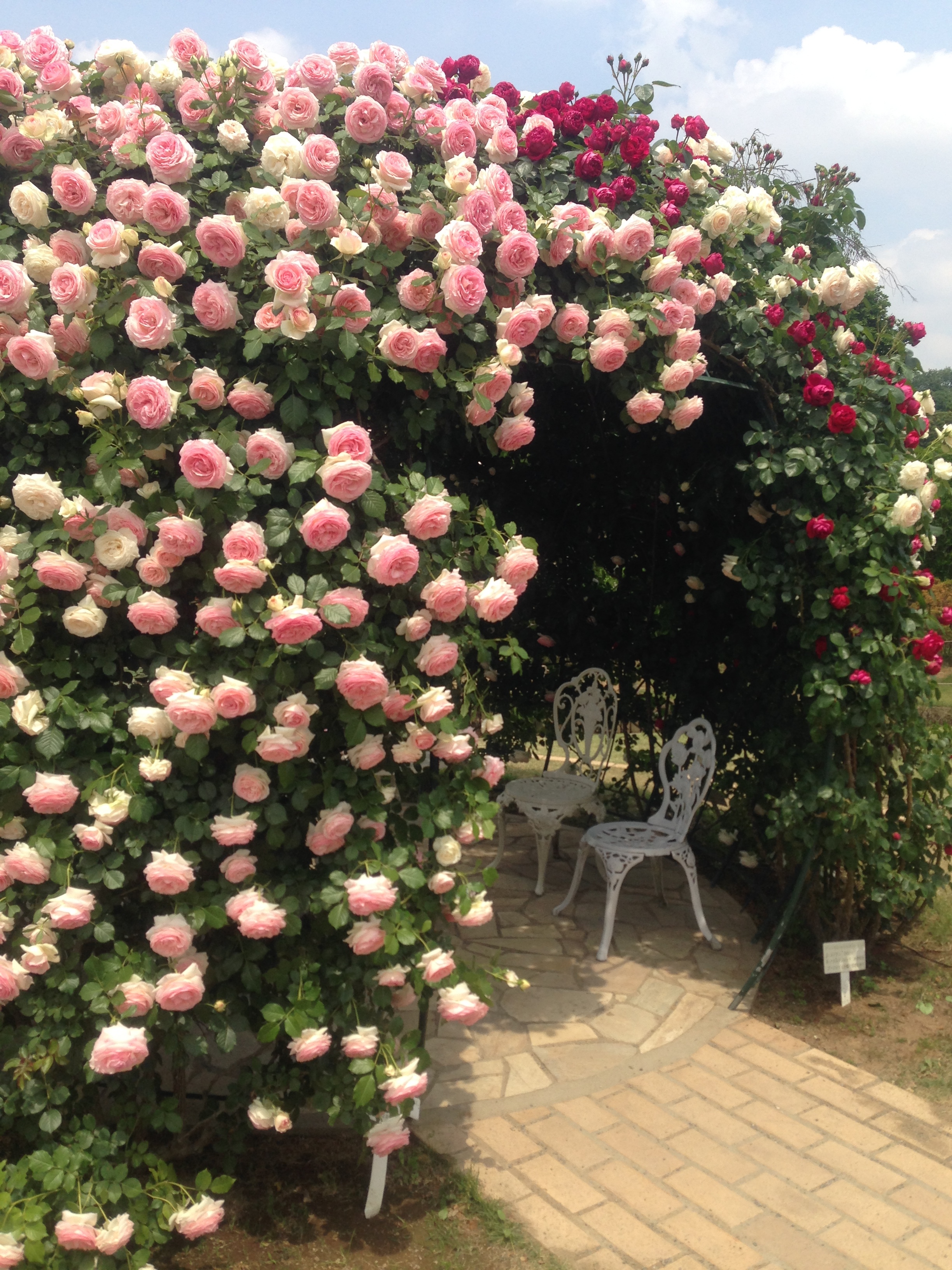 201505251745_7287_iphone.jpg