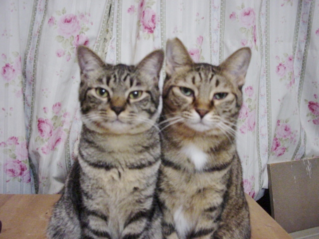 DSC08456.JPG