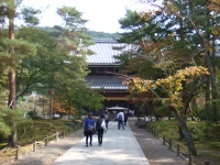 105.jpg