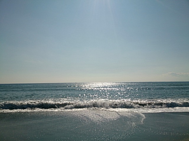 20150206  DSC_0004.jpg