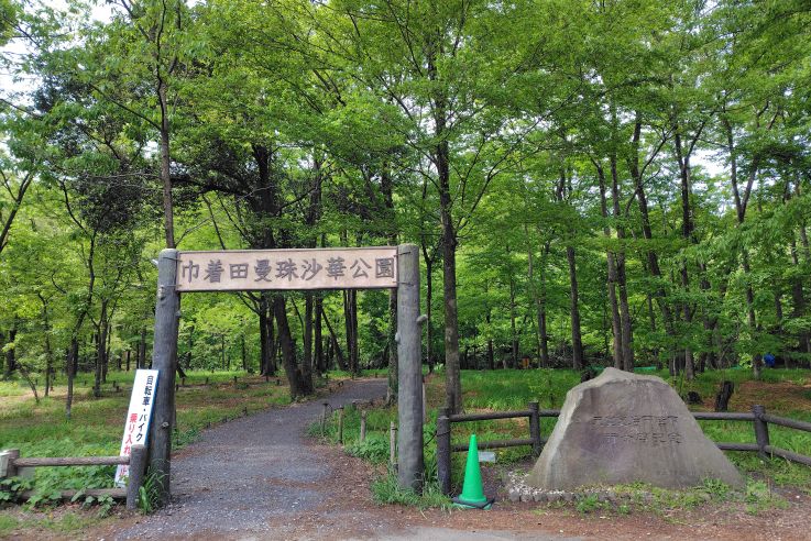250505091311546.JPG
