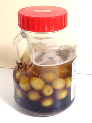 130603 梅酒 漬け始めてまる１日