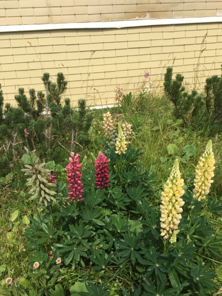 201508070139_1498_iphone.jpg
