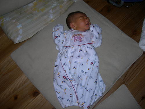 2009-9-19.30達樹 028.jpg