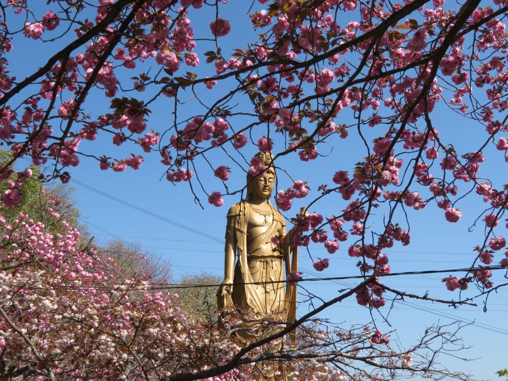 一心寺 (9).jpg
