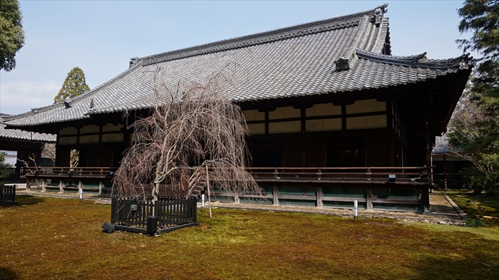 20160323 10402201.JPG