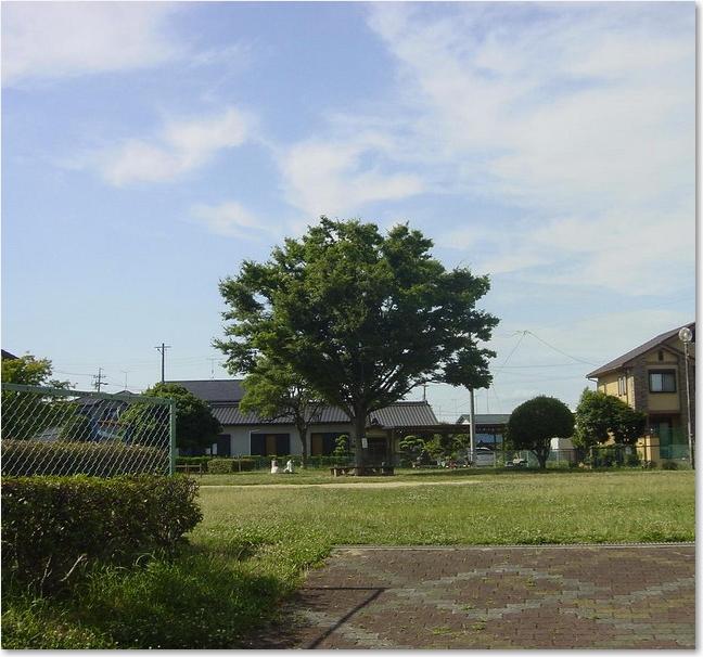 64大樹のある公園