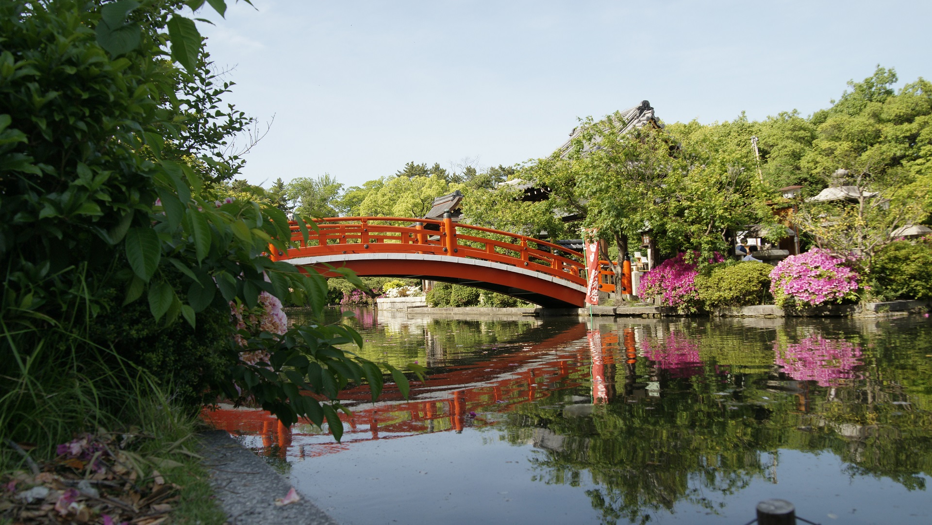 神泉苑 園内.jpg