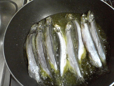 シシャモ13112702