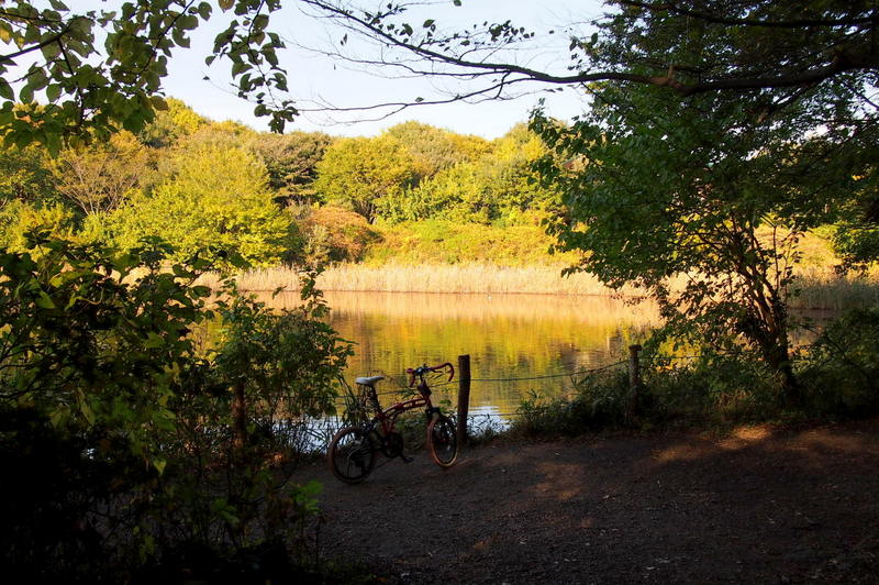 PB080571.JPG