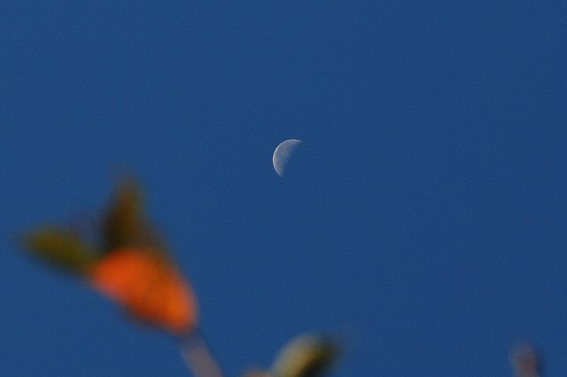 0928-1.jpg