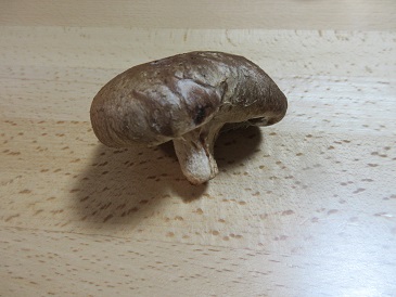しいたけ.jpg