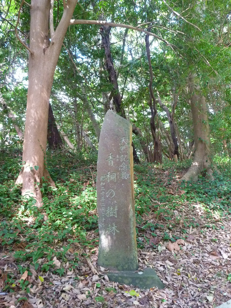 20141020 11255601.jpg