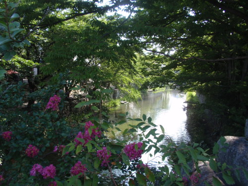 近江水道.JPG