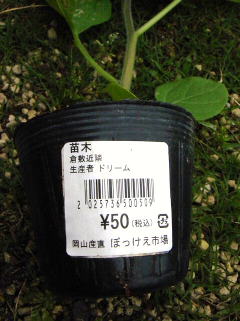 DSC08582.JPG