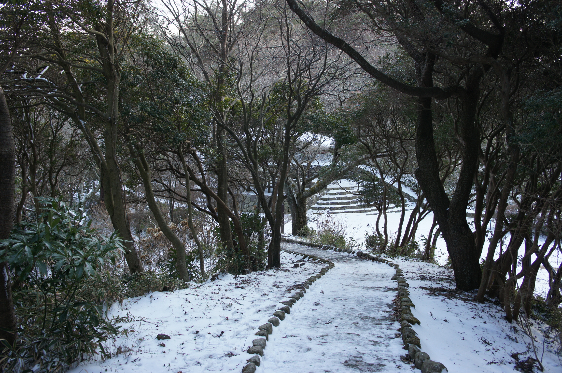 DSC00300.JPG