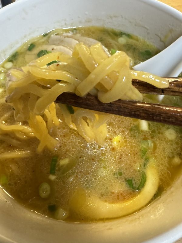 冷凍味噌ラーメン_02 - コピー.jpg