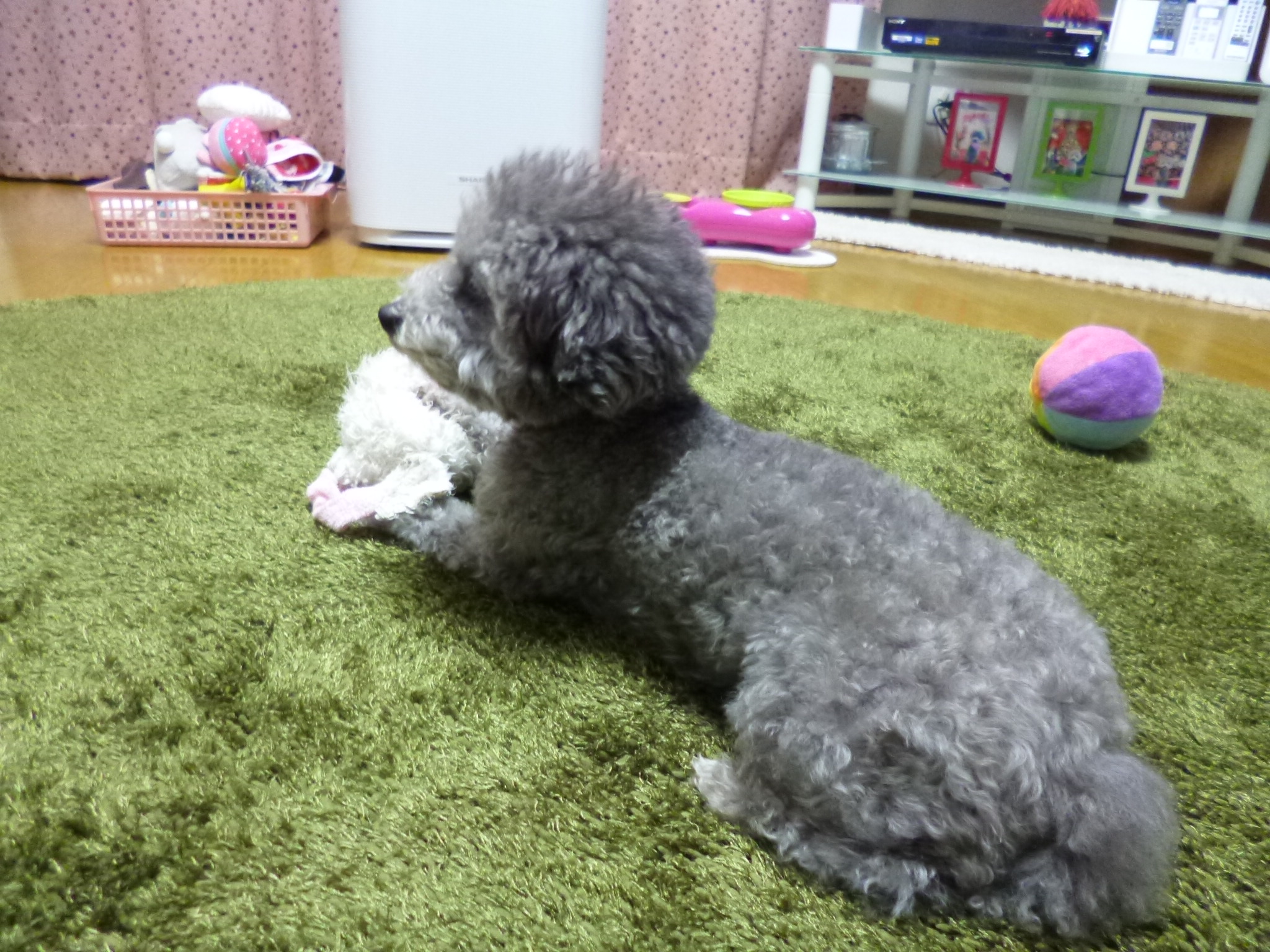 P1030145.JPG