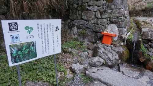 20160322 16032601.JPG