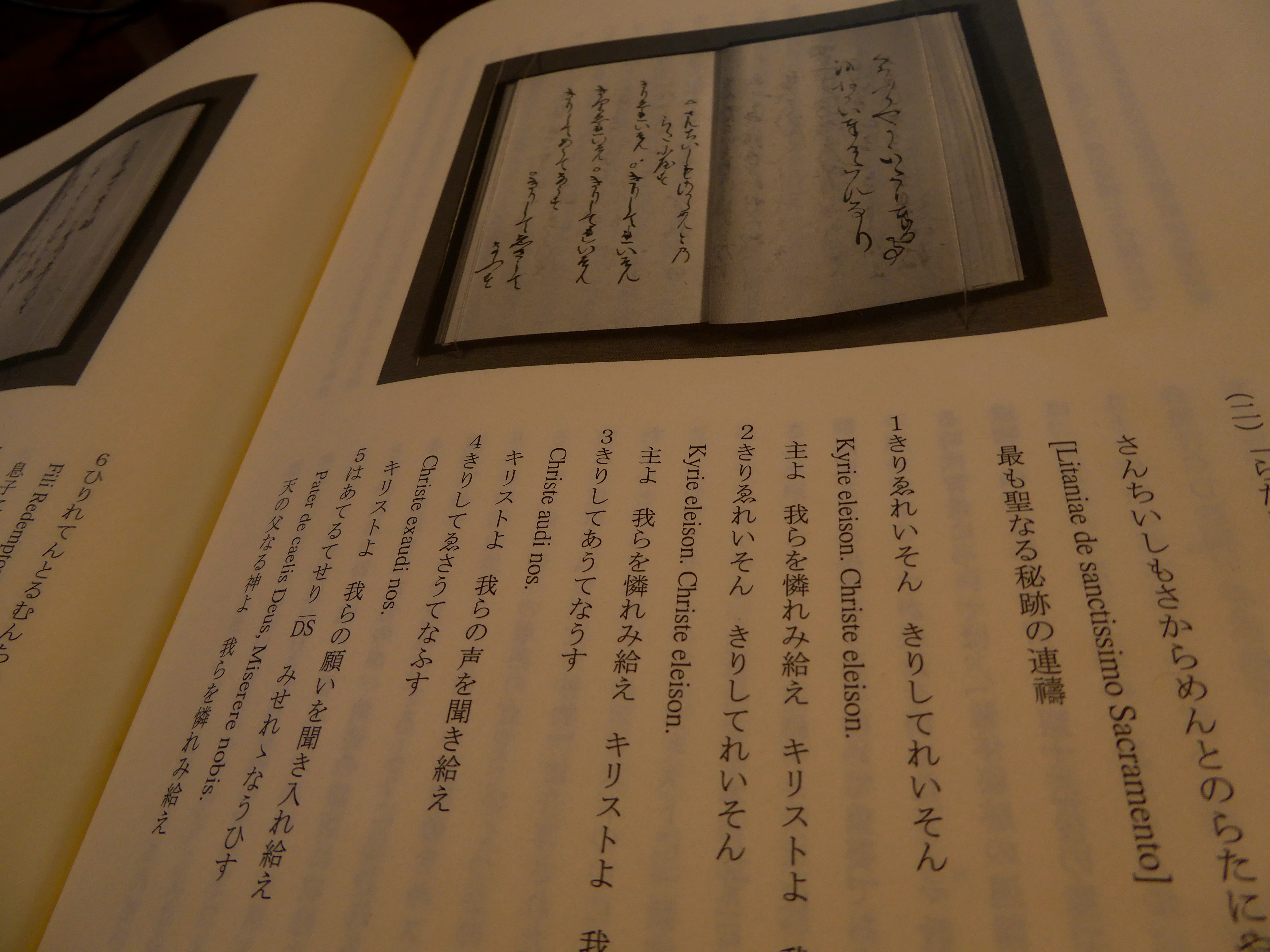 P1000755.JPG