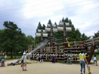 三橋公園 (1).jpg