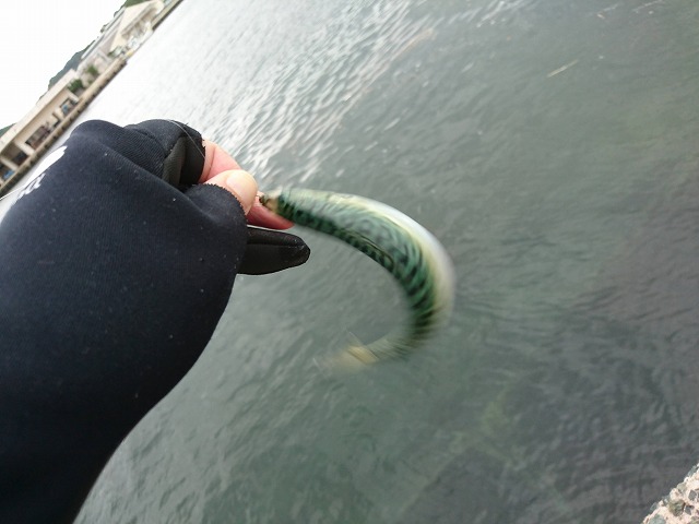 showPhoto (640×480)