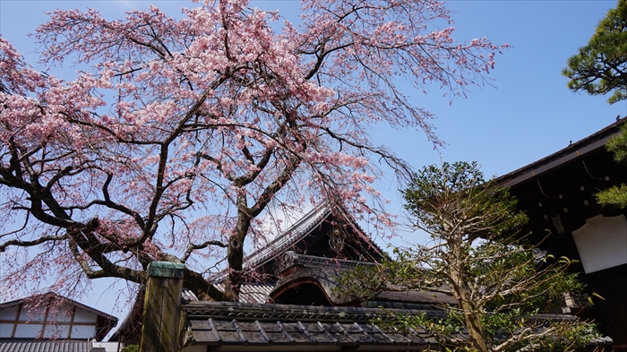 20160323 11145901.JPG