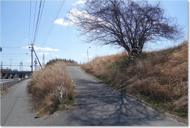 73ここを上ります