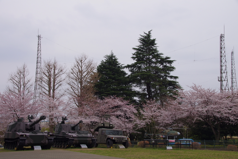 2016Sakura08.jpg